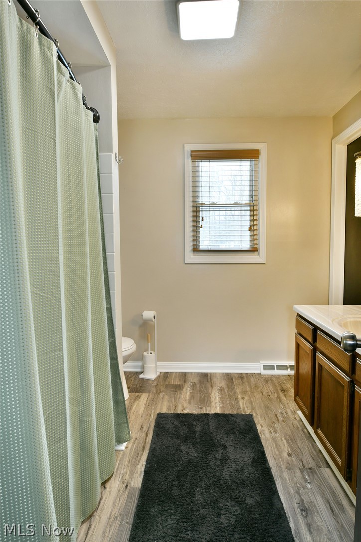 4251 Wayne Road Mantua, OH 44255 - Photo 20 of 34 Bathroom with a shower with curtain, vanity, and light wood-type flooring