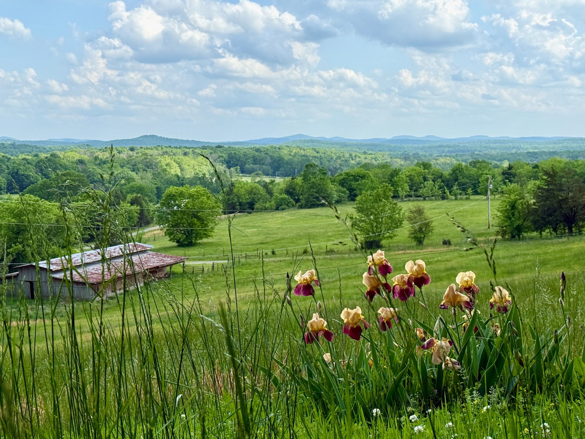 1933 B Chicken Road Lebanon, TN 37090 - Photo 1 of 54
