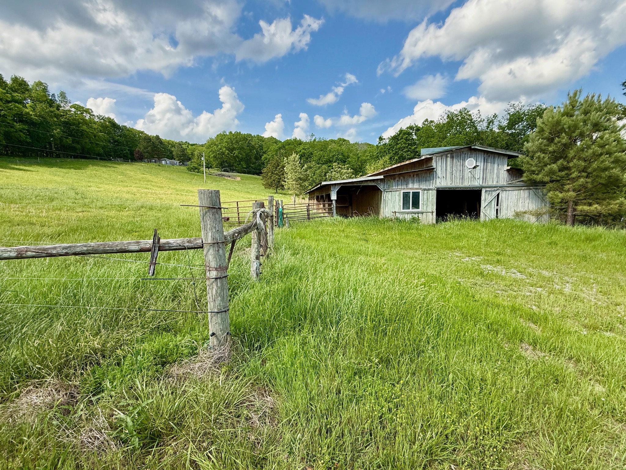 1933 B Chicken Road Lebanon, TN 37090 - Photo 15 of 54