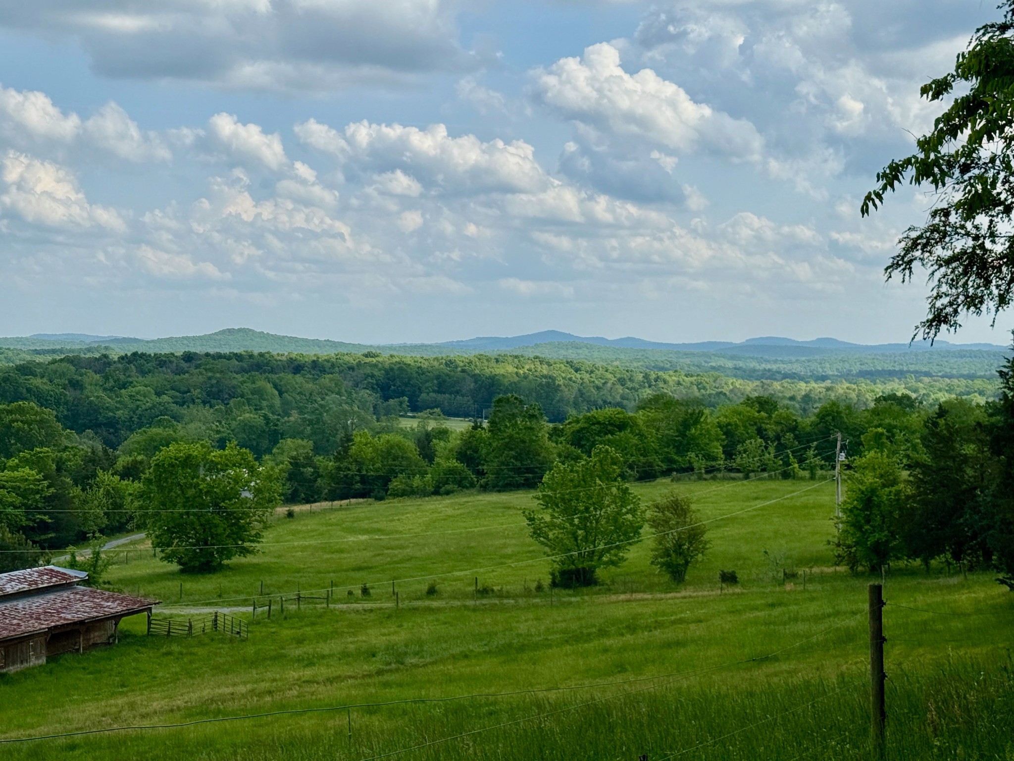 1933 B Chicken Road Lebanon, TN 37090 - Photo 16 of 54