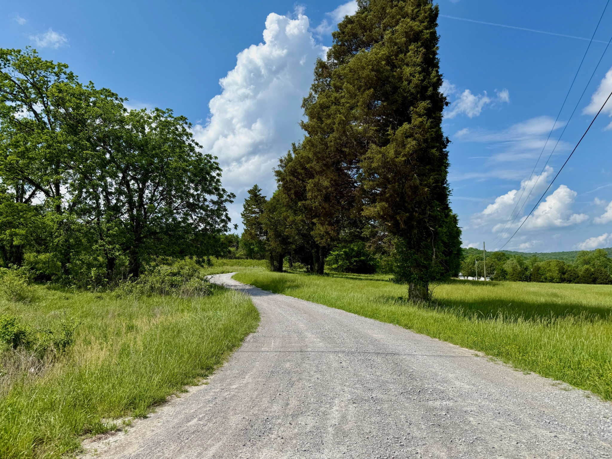 1933 B Chicken Road Lebanon, TN 37090 - Photo 2 of 54