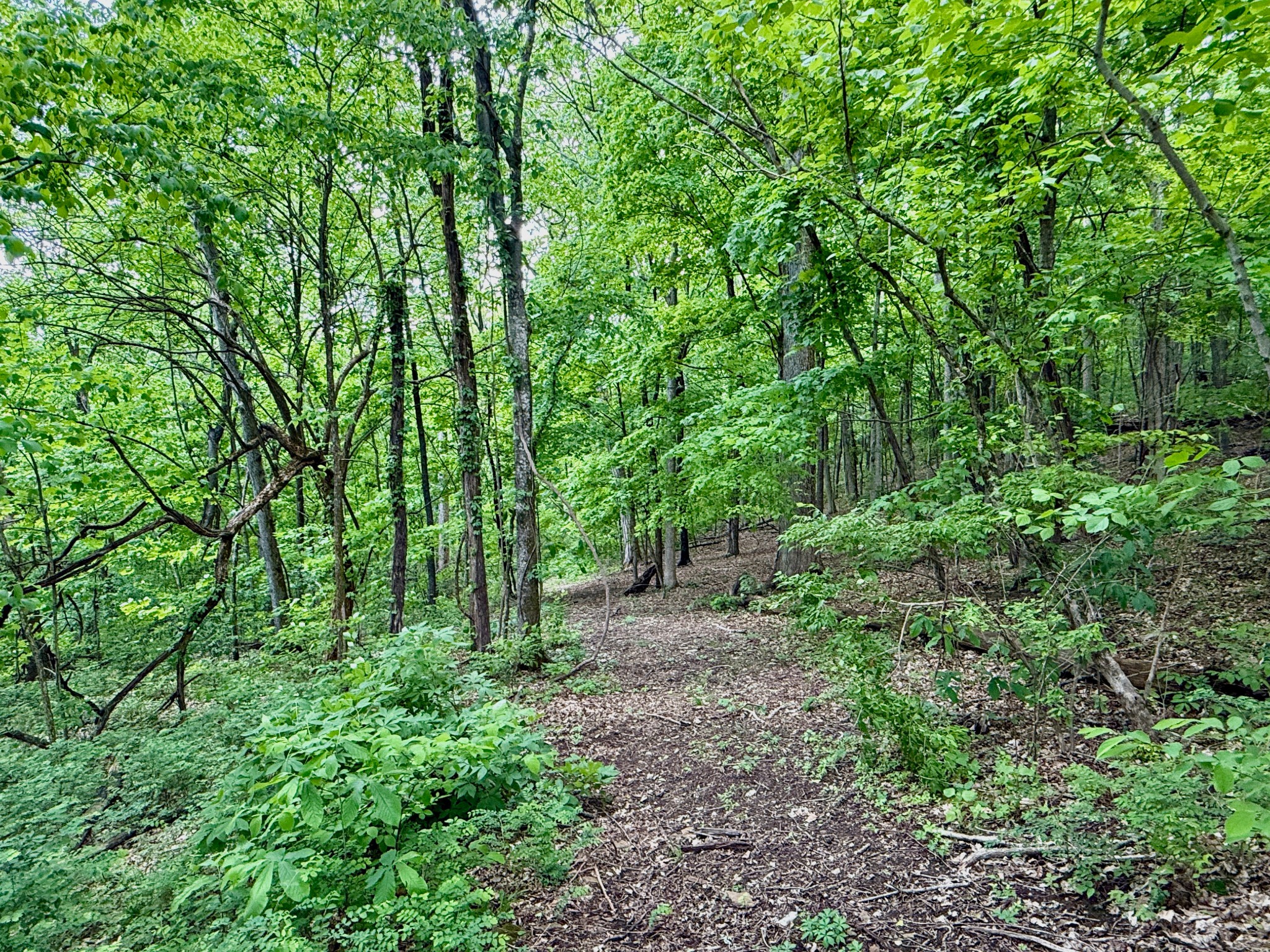 1933 B Chicken Road Lebanon, TN 37090 - Photo 23 of 54