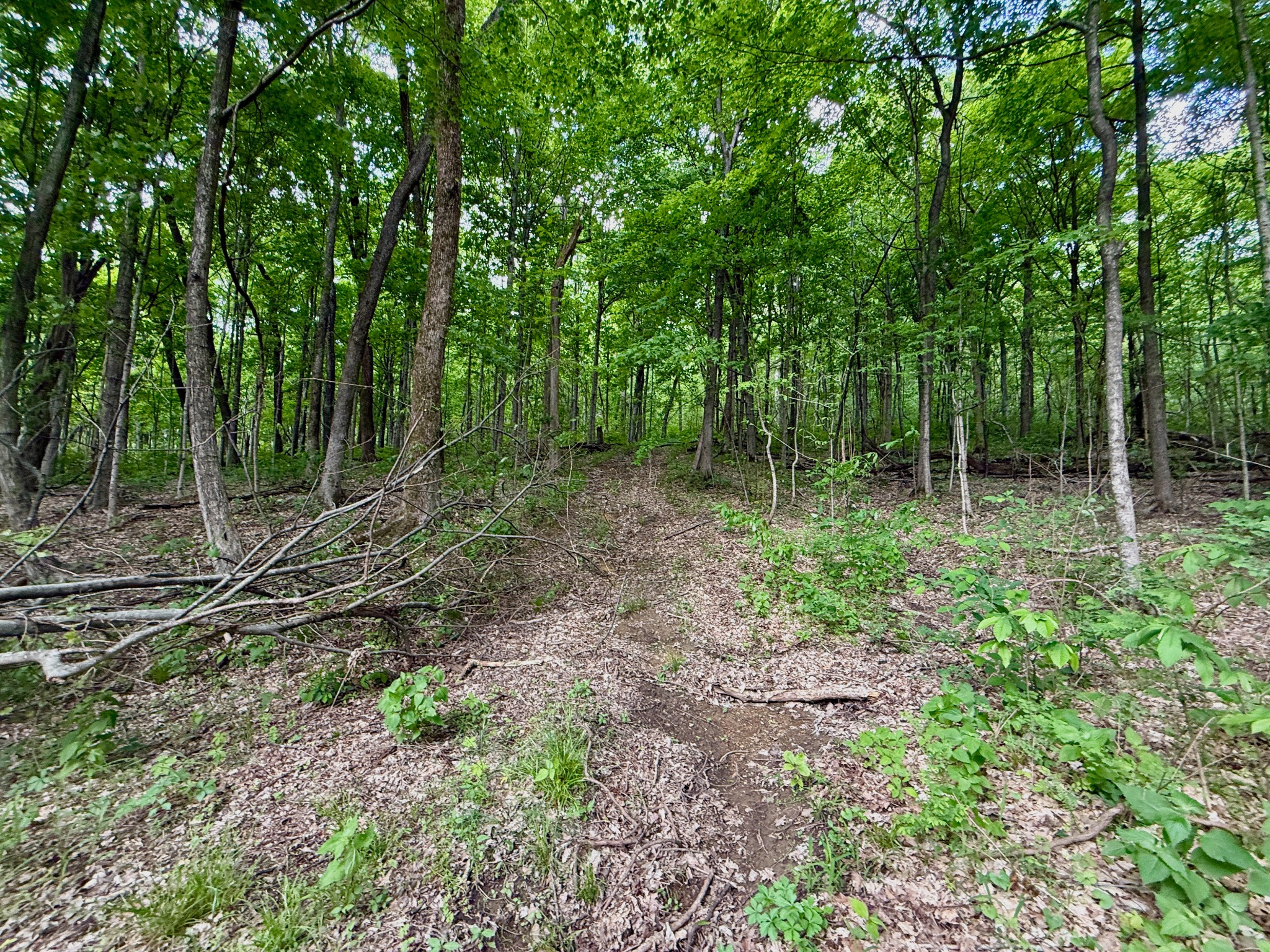 1933 B Chicken Road Lebanon, TN 37090 - Photo 25 of 54