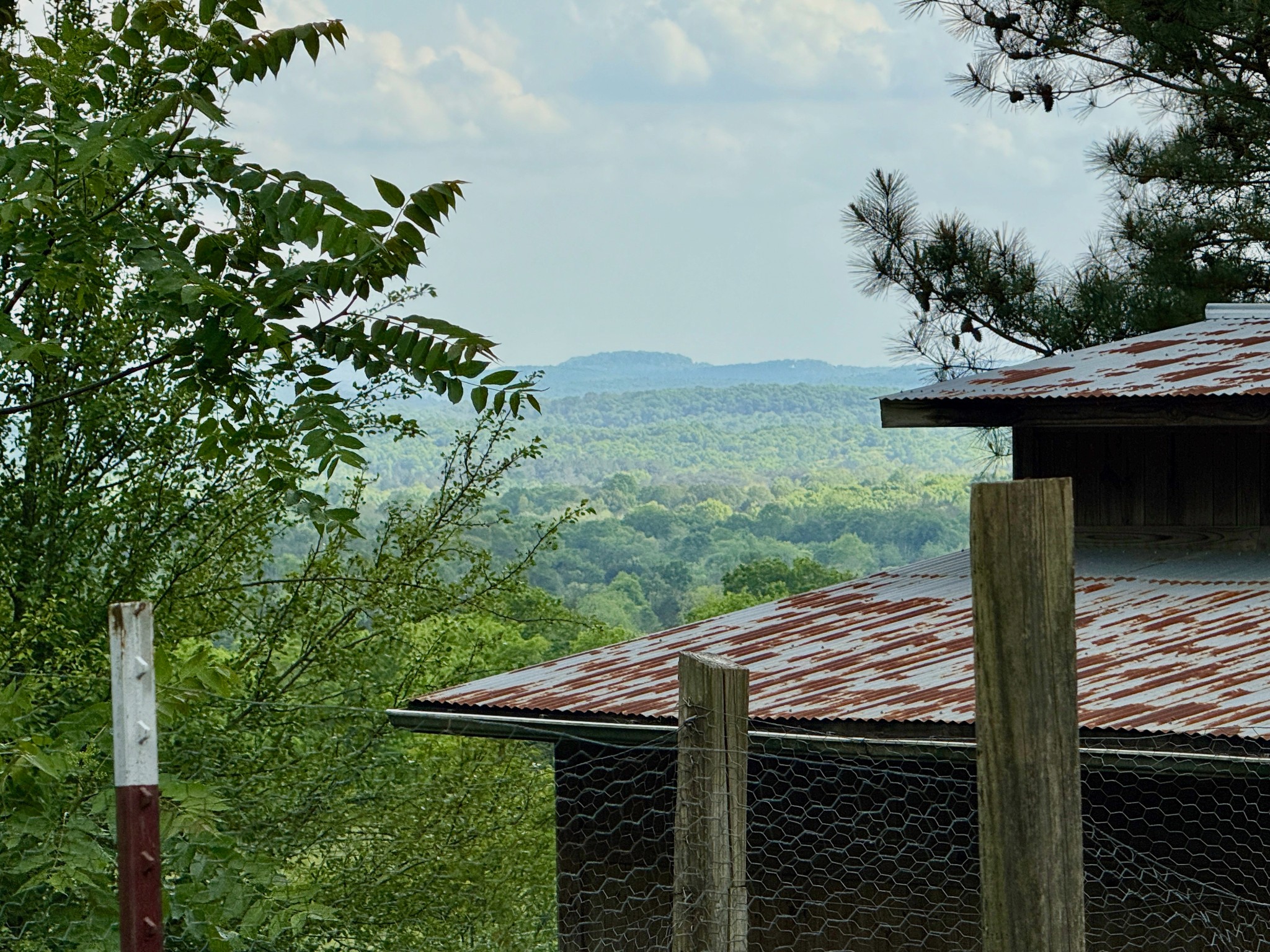 1933 B Chicken Road Lebanon, TN 37090 - Photo 27 of 54