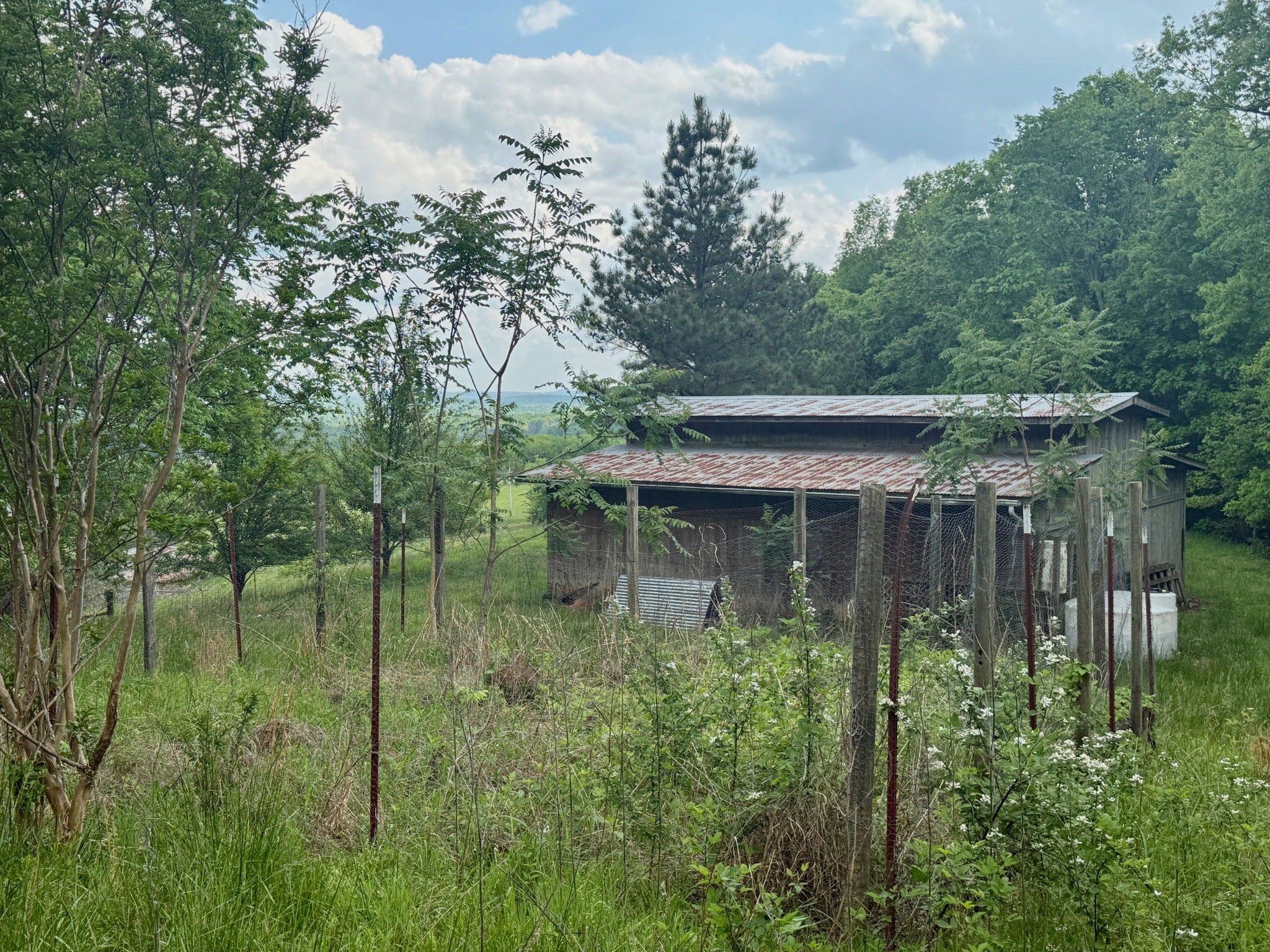 1933 B Chicken Road Lebanon, TN 37090 - Photo 28 of 54