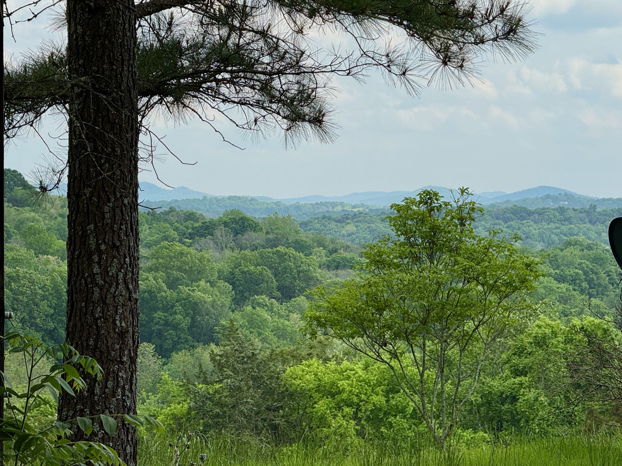 1933 B Chicken Road Lebanon, TN 37090 - Photo 29 of 54