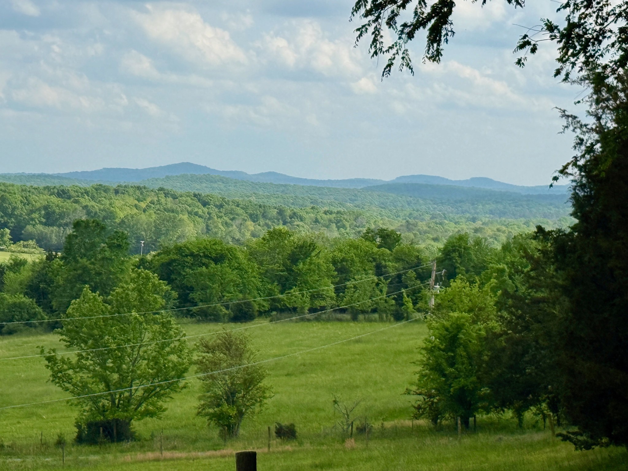 1933 B Chicken Road Lebanon, TN 37090 - Photo 30 of 54