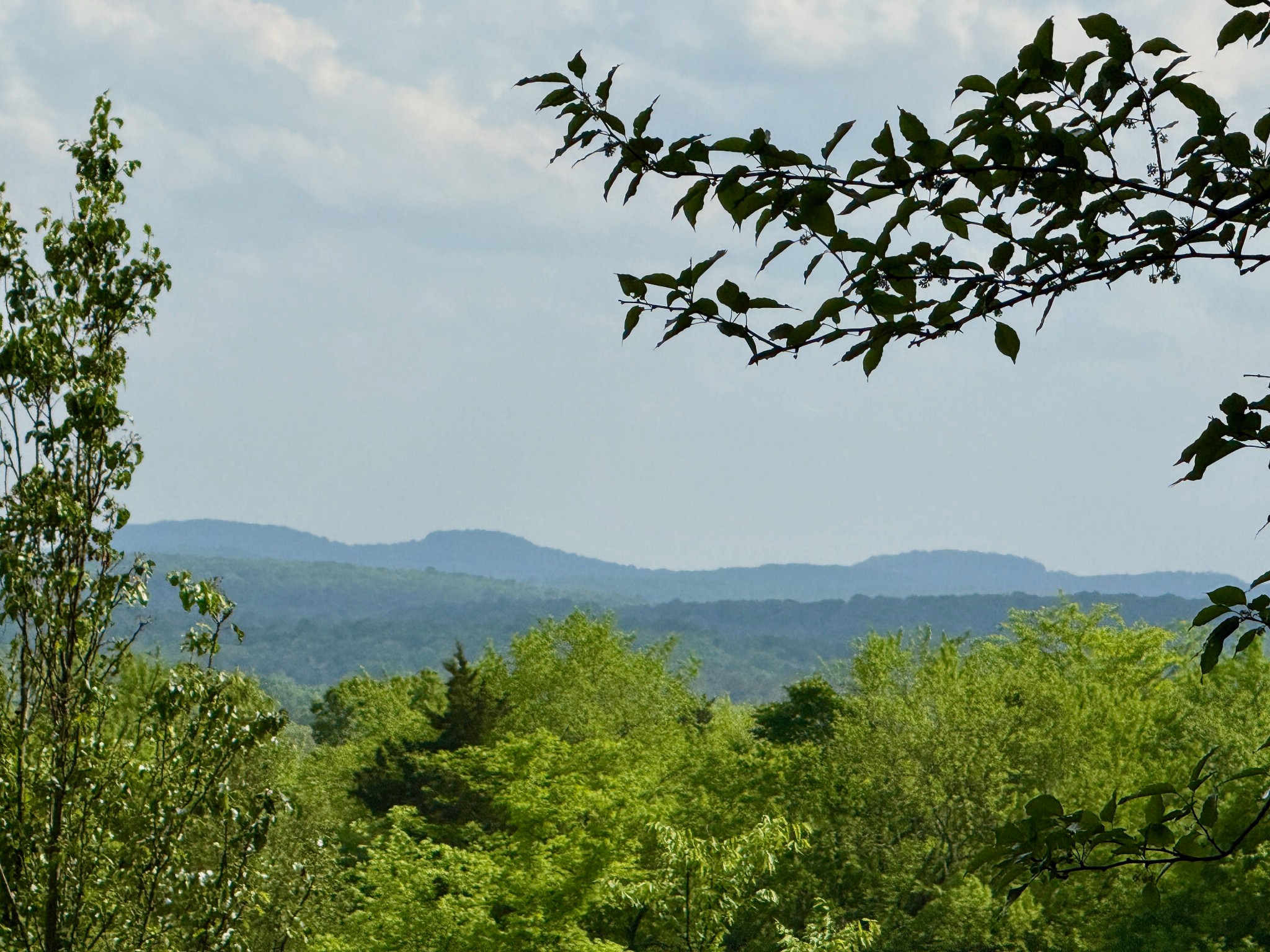 1933 B Chicken Road Lebanon, TN 37090 - Photo 32 of 54