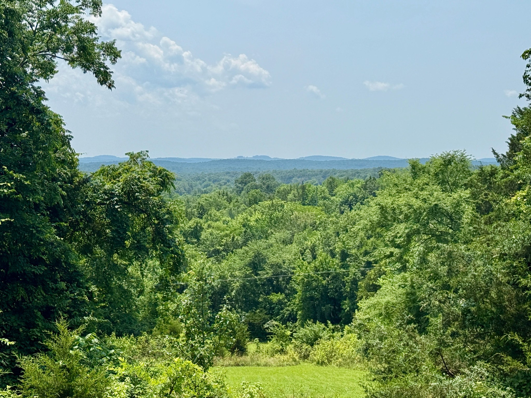 1933 B Chicken Road Lebanon, TN 37090 - Photo 33 of 54