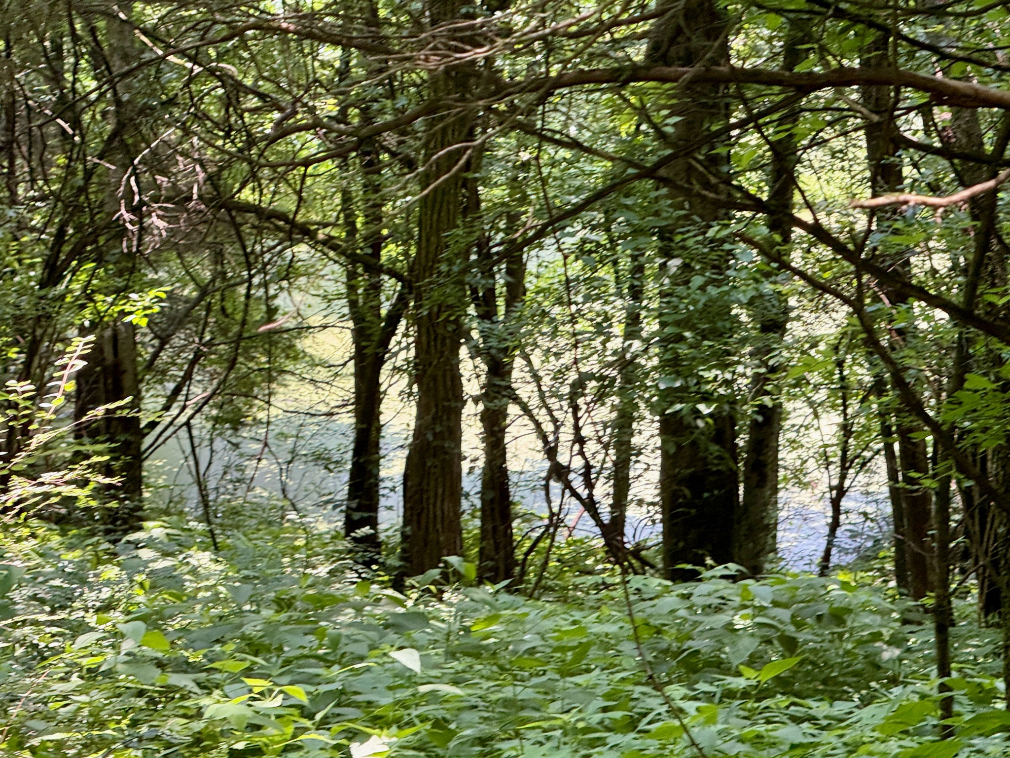 1933 B Chicken Road Lebanon, TN 37090 - Photo 34 of 54