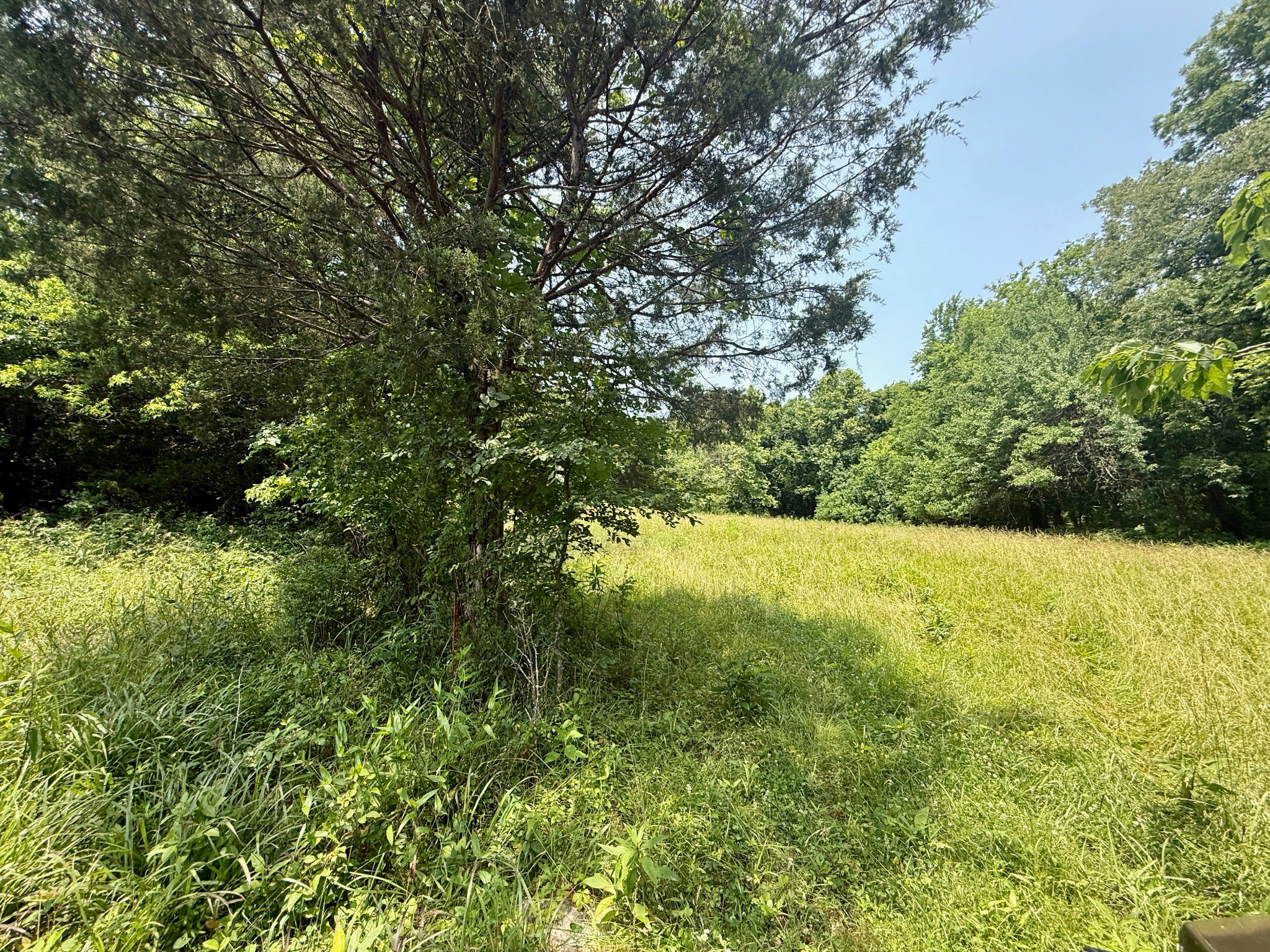 1933 B Chicken Road Lebanon, TN 37090 - Photo 36 of 54