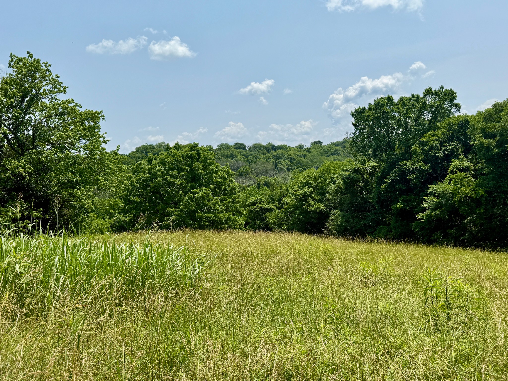 1933 B Chicken Road Lebanon, TN 37090 - Photo 37 of 54