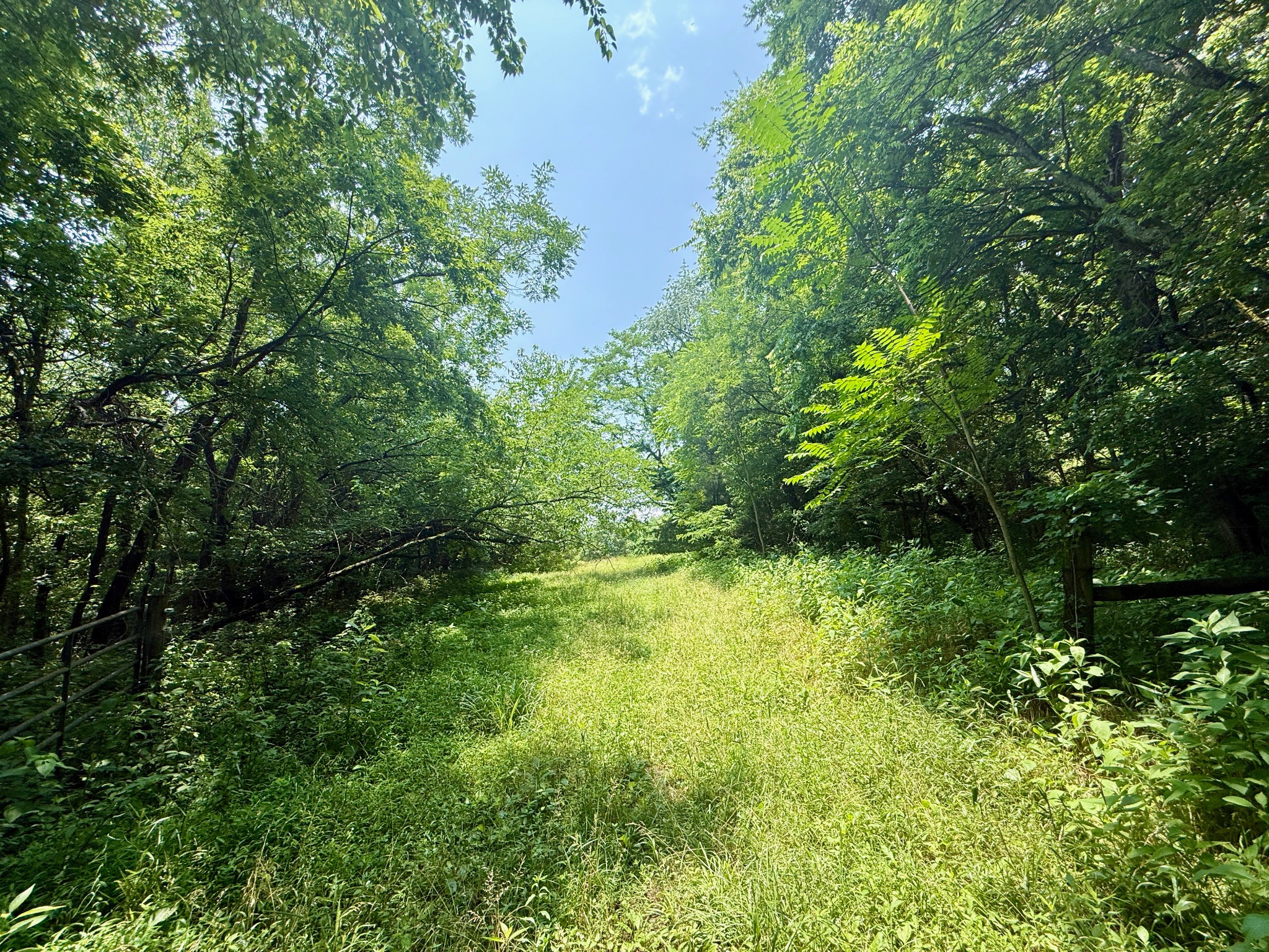 1933 B Chicken Road Lebanon, TN 37090 - Photo 38 of 54