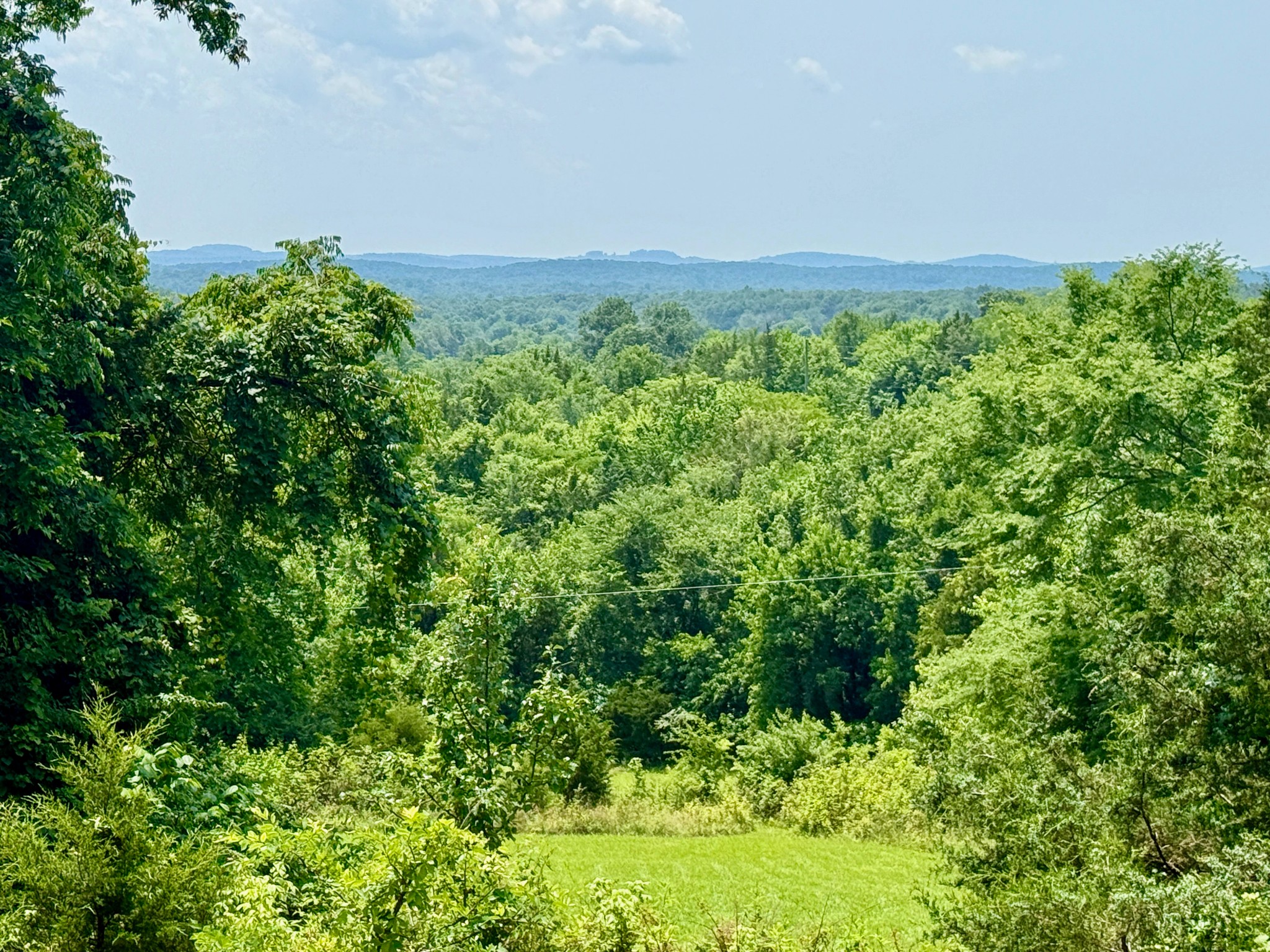 1933 B Chicken Road Lebanon, TN 37090 - Photo 39 of 54