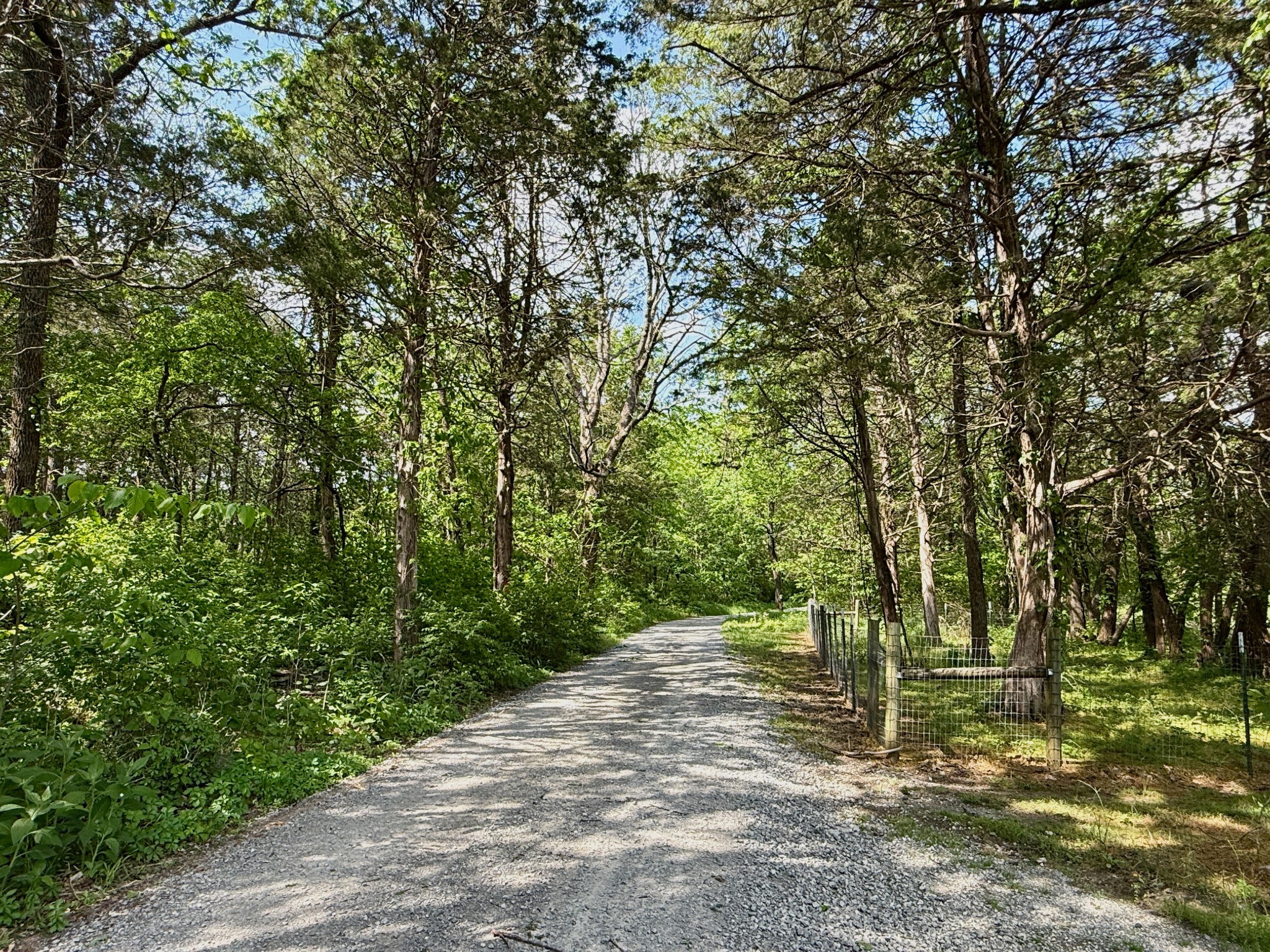 1933 B Chicken Road Lebanon, TN 37090 - Photo 4 of 54