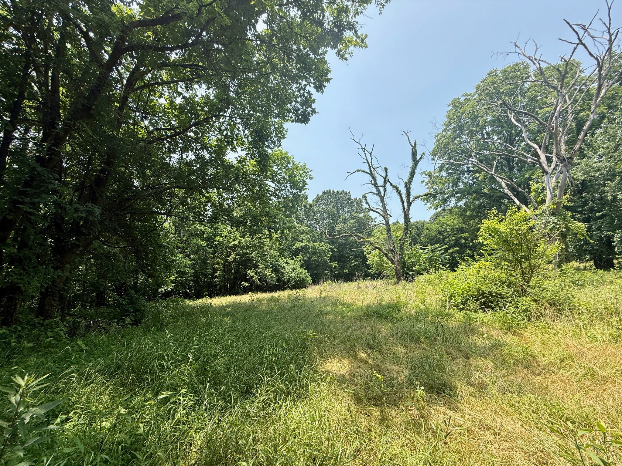 1933 B Chicken Road Lebanon, TN 37090 - Photo 41 of 54