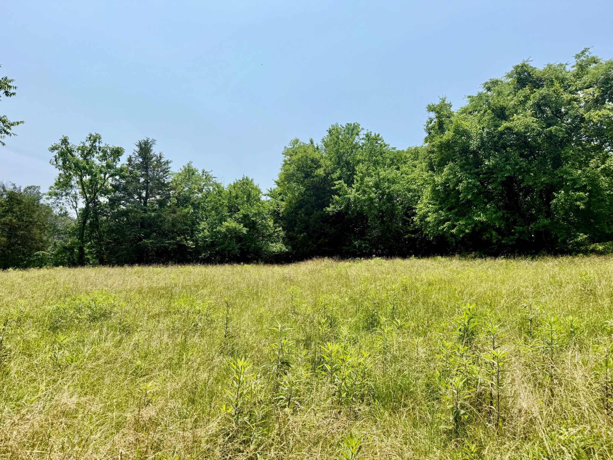 1933 B Chicken Road Lebanon, TN 37090 - Photo 42 of 54