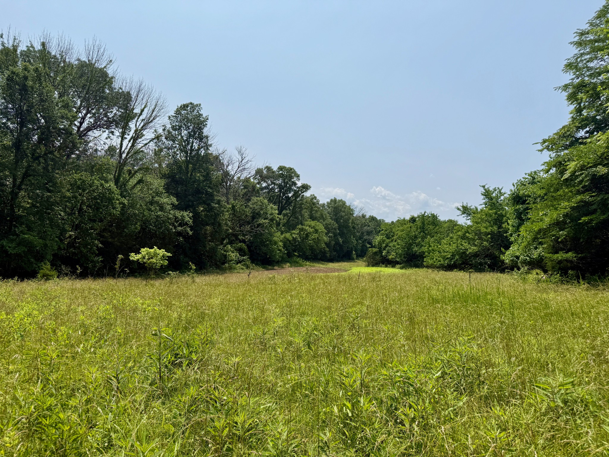 1933 B Chicken Road Lebanon, TN 37090 - Photo 43 of 54