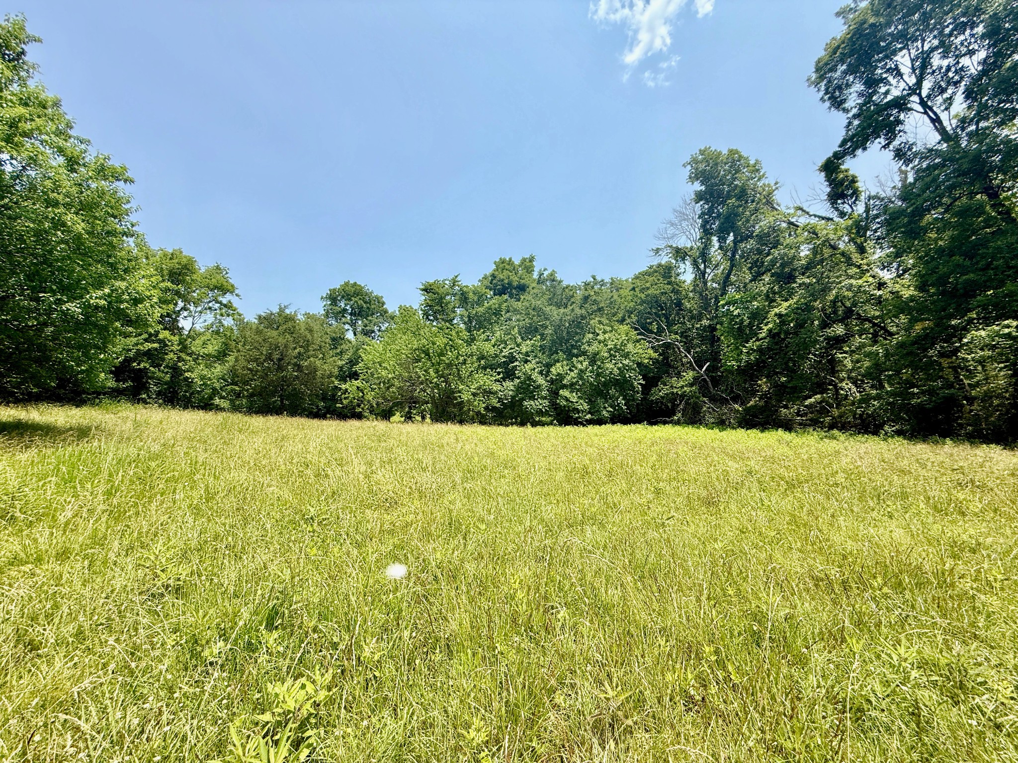 1933 B Chicken Road Lebanon, TN 37090 - Photo 44 of 54