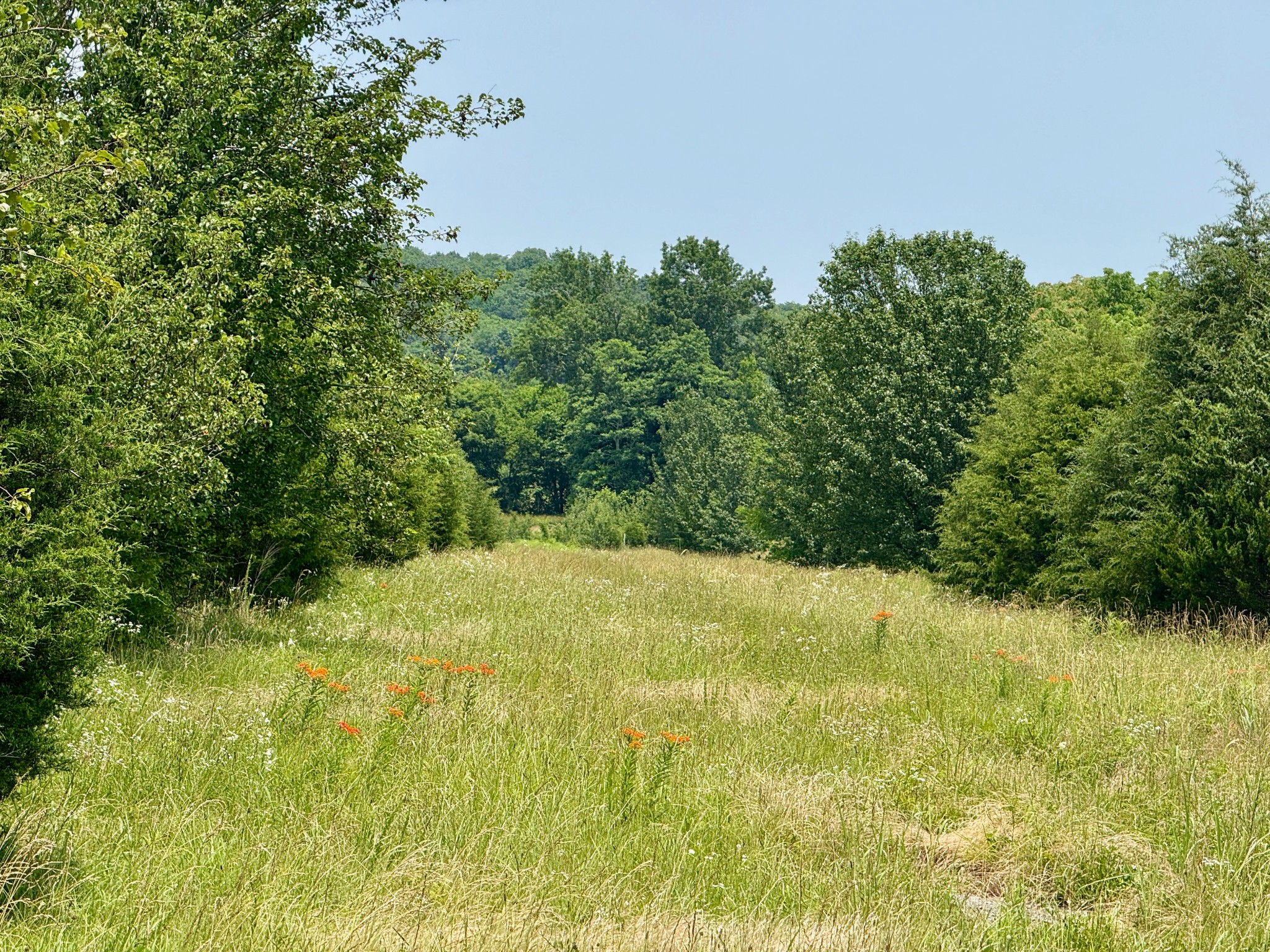 1933 B Chicken Road Lebanon, TN 37090 - Photo 45 of 54