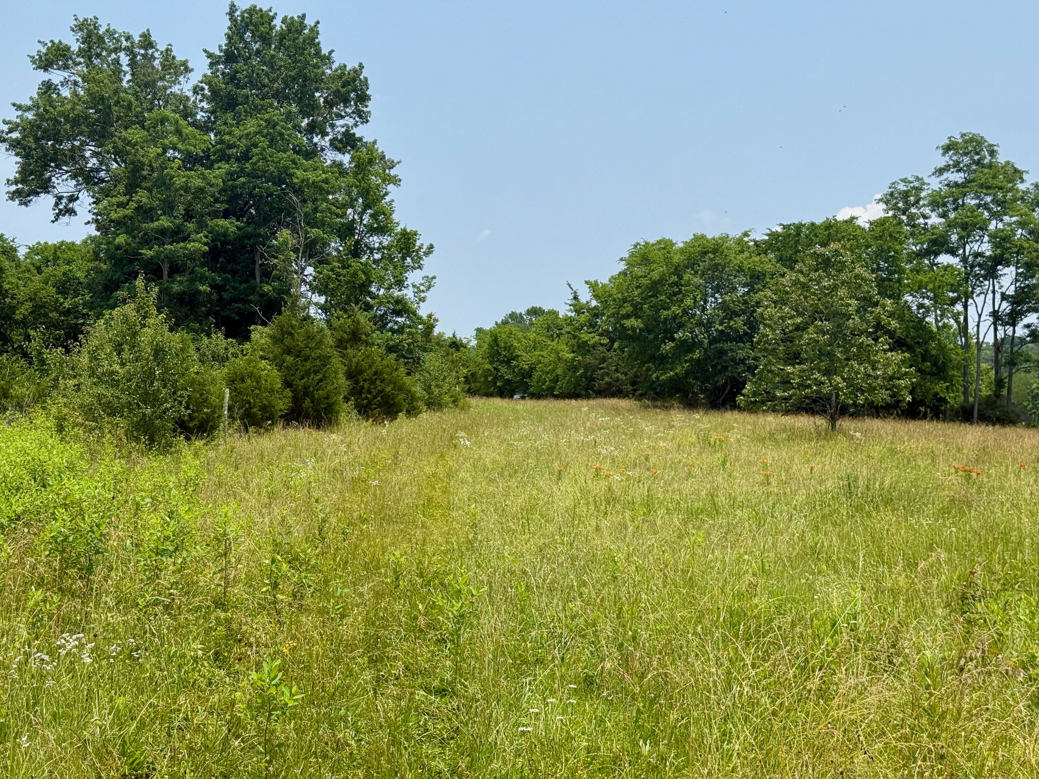 1933 B Chicken Road Lebanon, TN 37090 - Photo 46 of 54