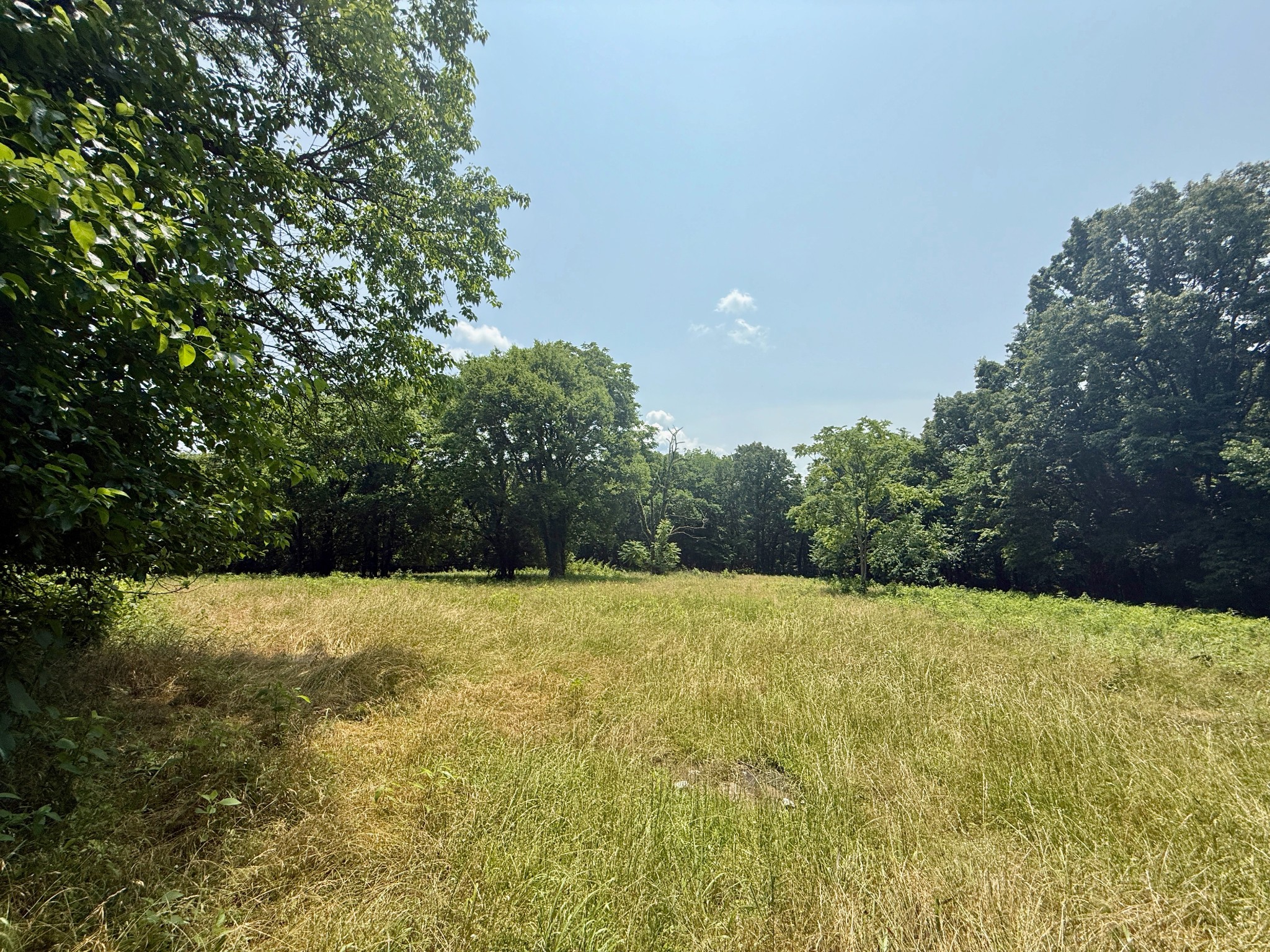 1933 B Chicken Road Lebanon, TN 37090 - Photo 48 of 54