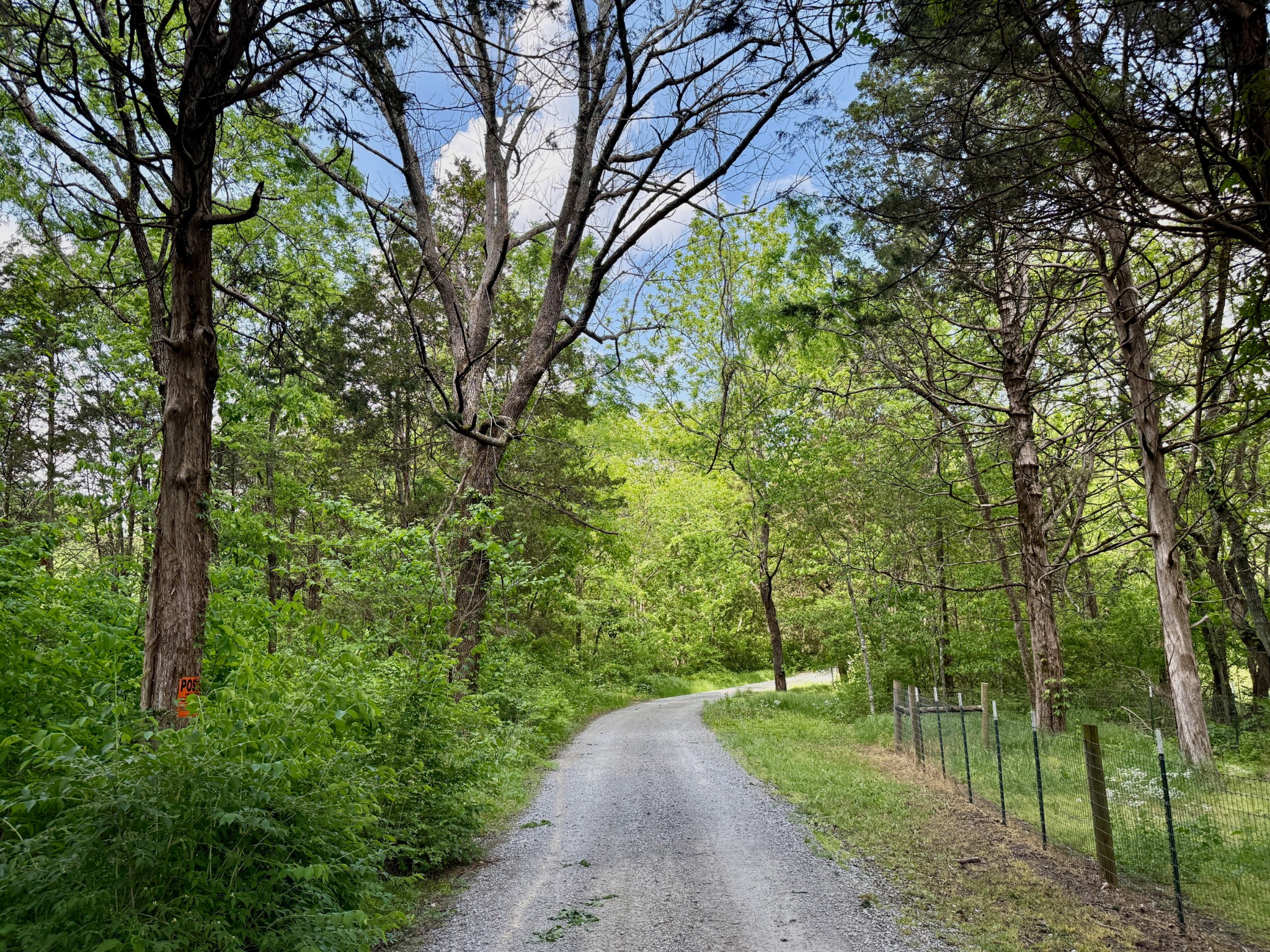 1933 B Chicken Road Lebanon, TN 37090 - Photo 5 of 54