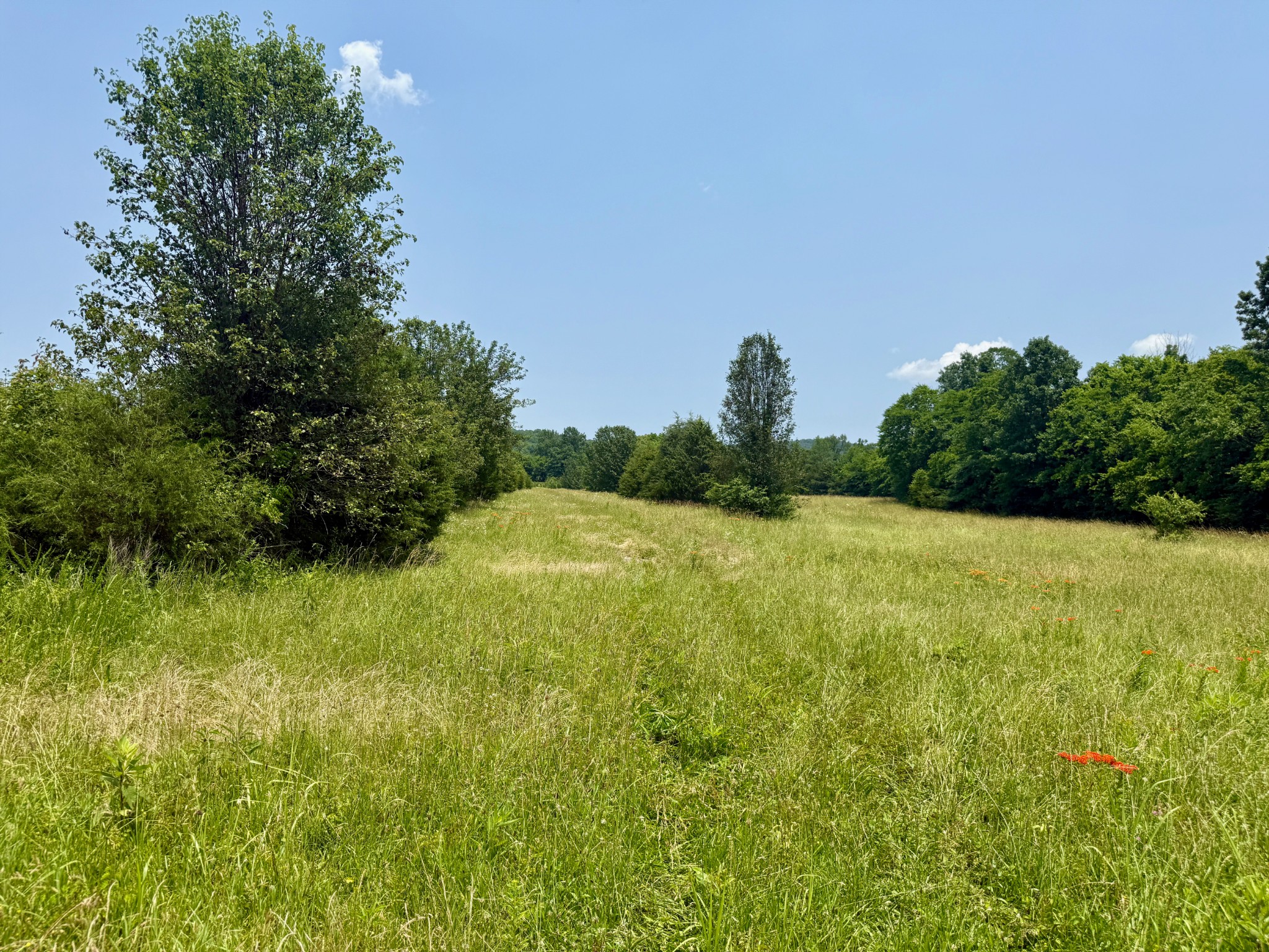 1933 B Chicken Road Lebanon, TN 37090 - Photo 51 of 54