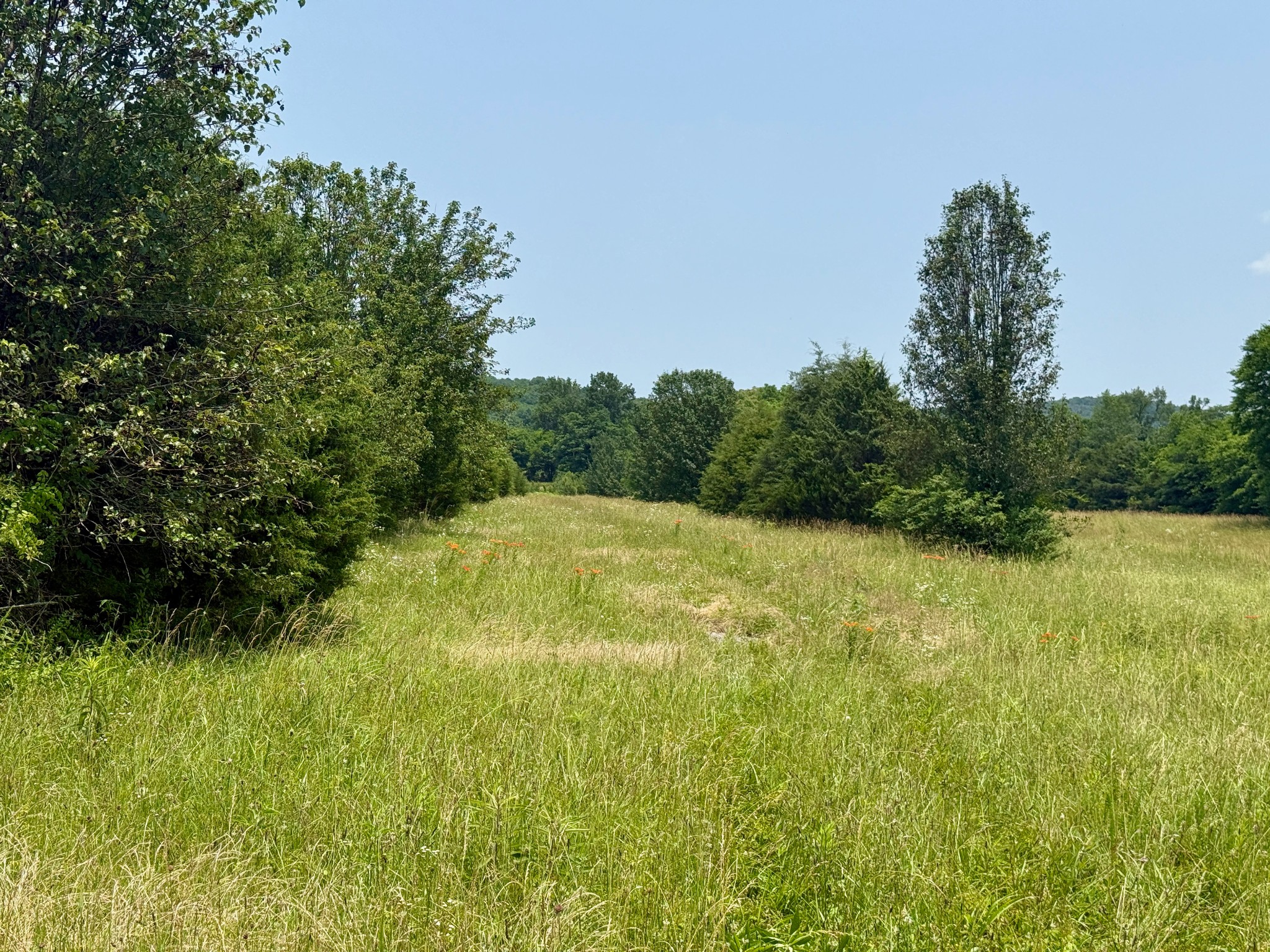 1933 B Chicken Road Lebanon, TN 37090 - Photo 52 of 54