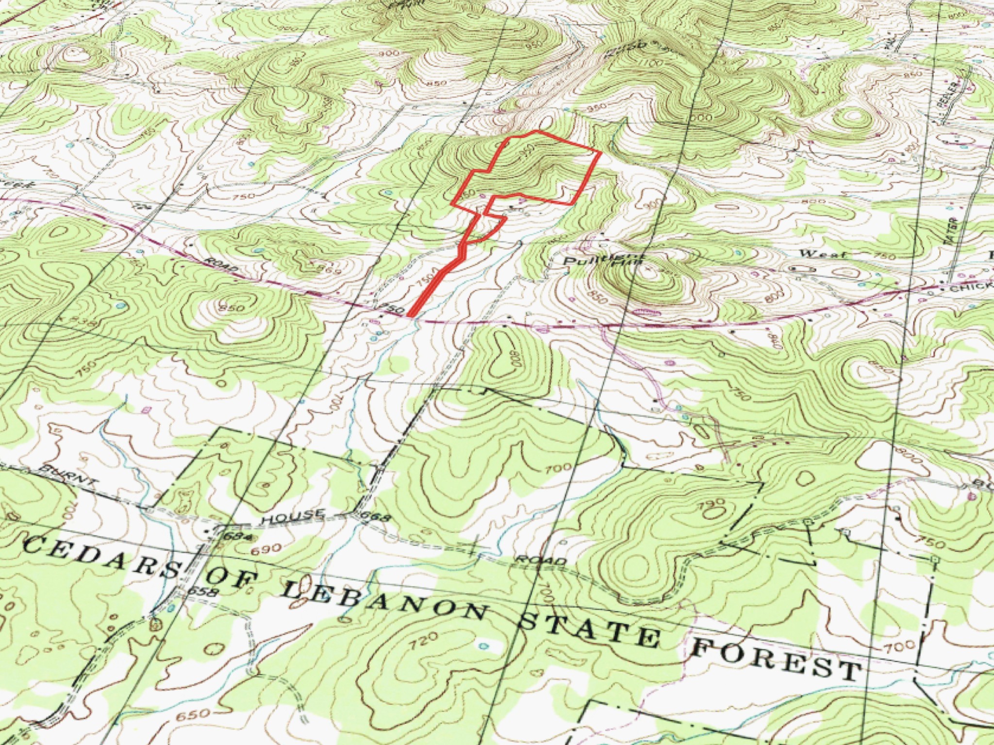 1933 B Chicken Road Lebanon, TN 37090 - Photo 54 of 54