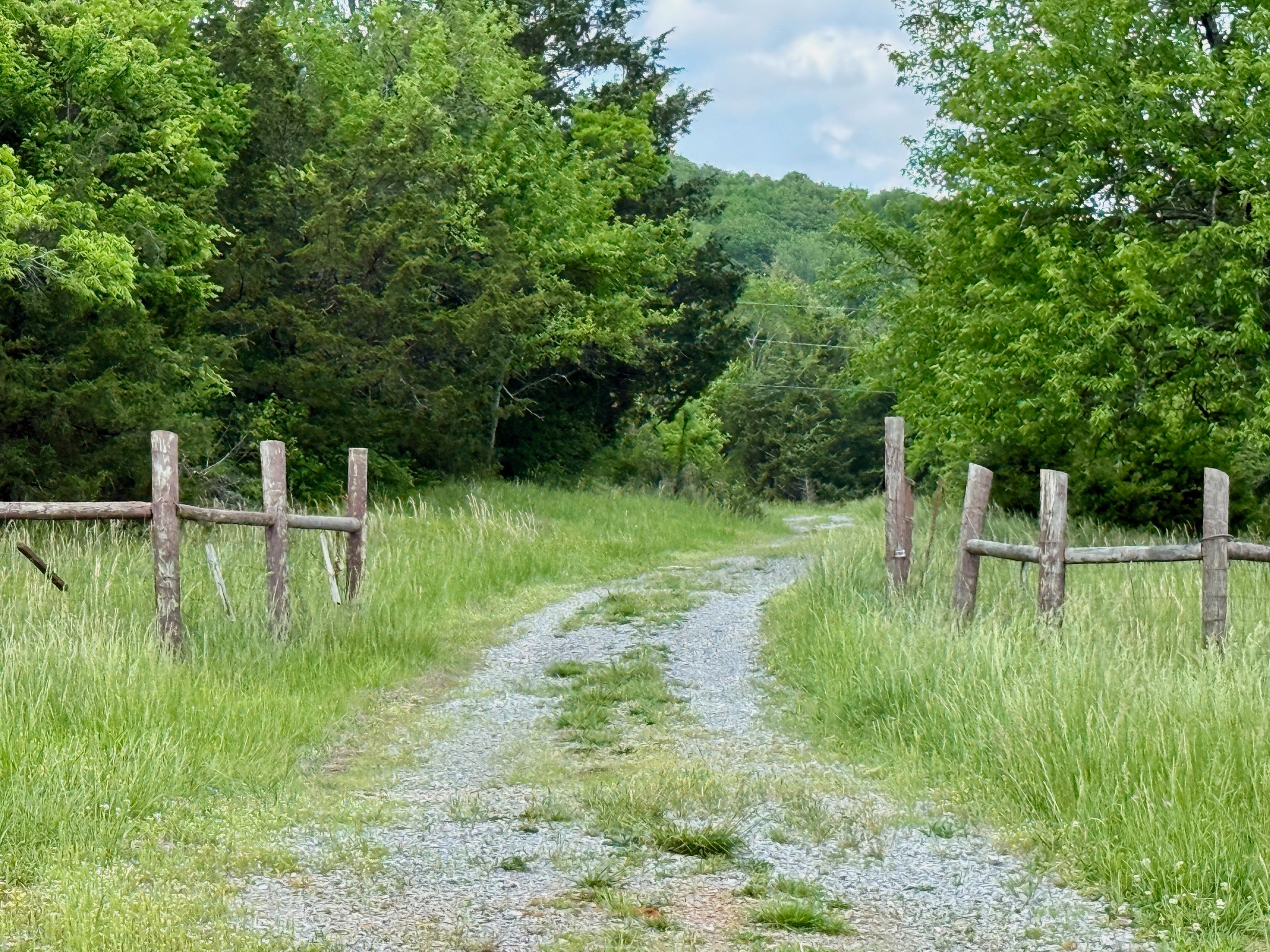 1933 B Chicken Road Lebanon, TN 37090 - Photo 6 of 54