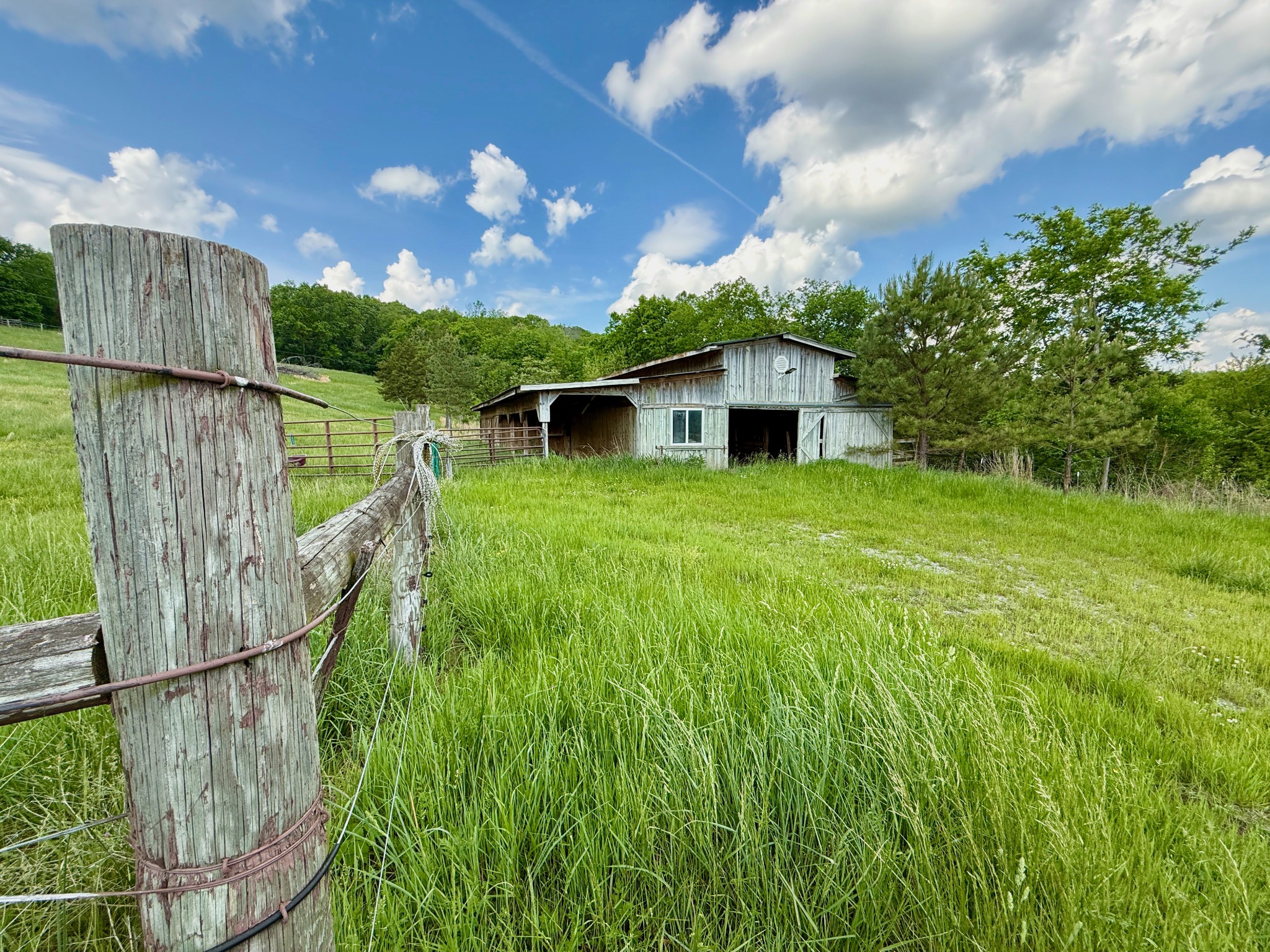 1933 B Chicken Road Lebanon, TN 37090 - Photo 9 of 54