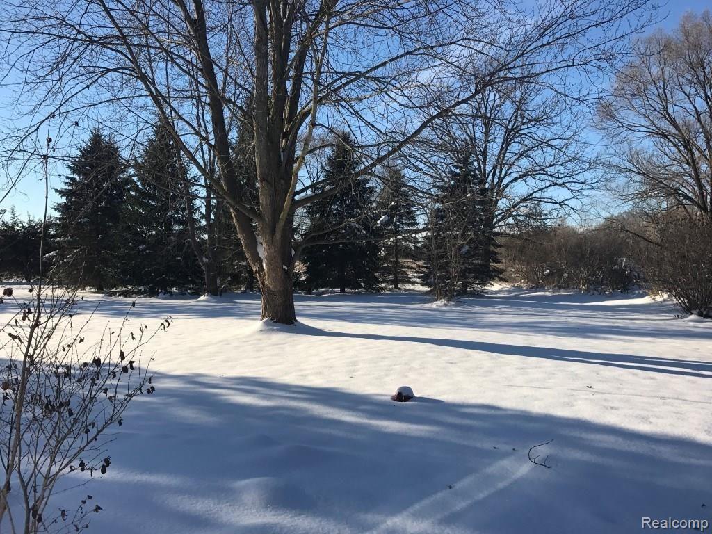 8651 Pingree Road Pinckney, MI 48169 - Photo 28 of 33 Front yard