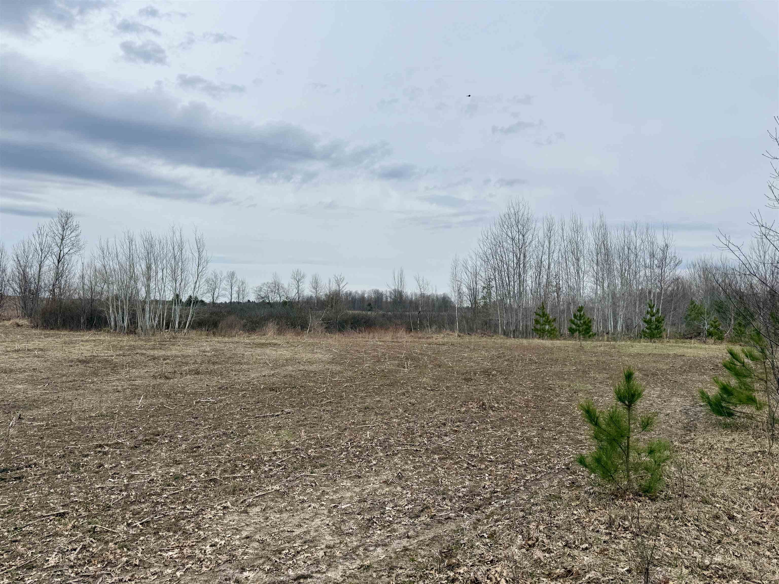 7 Gleaner Hall Road Kingsley, MI 49649 - Photo 13 of 16