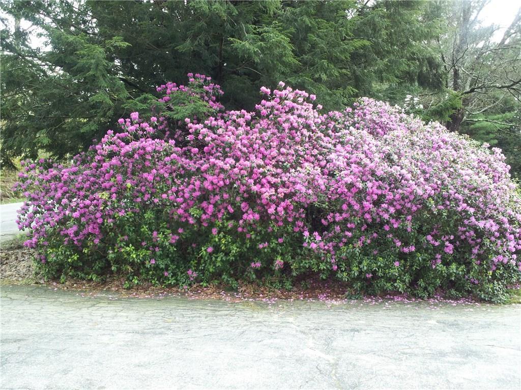 23 Winthrop Center Road Winthrop, ME 04364 - Photo 2 of 17 Photo