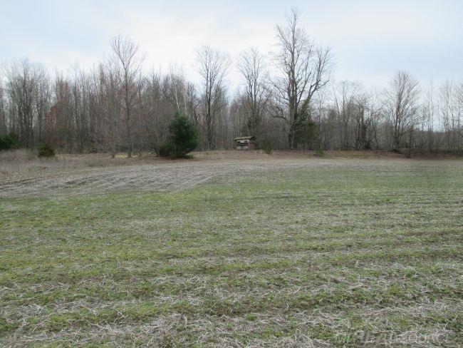 5770 Chambers Road Mayville, MI 48744 - Photo 9 of 17