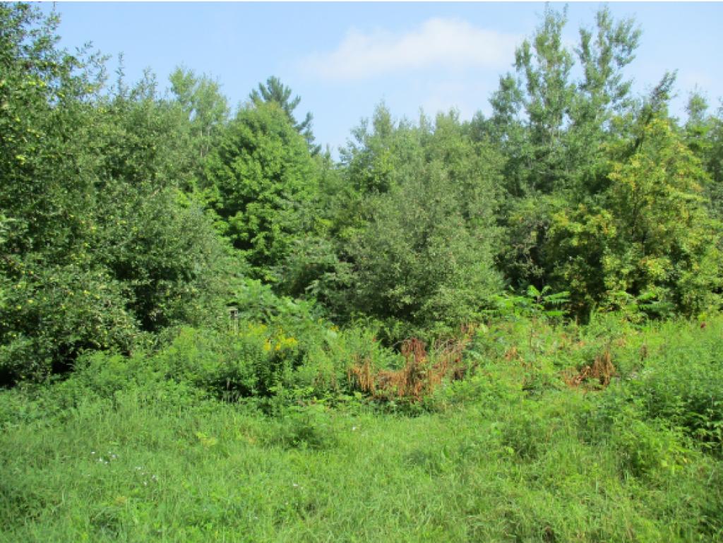 466 Flagg Road Canterbury, NH 03224 - Photo 11 of 17