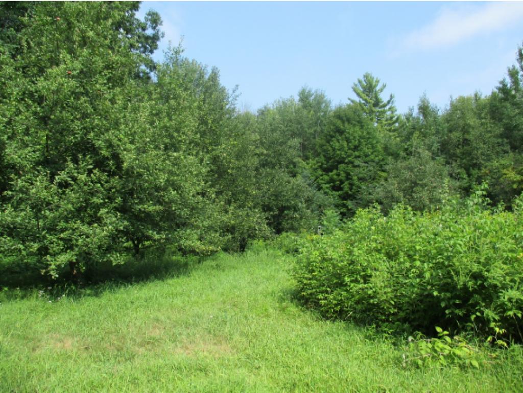 466 Flagg Road Canterbury, NH 03224 - Photo 10 of 17