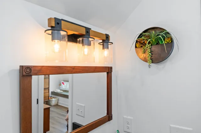 a picture of a tree in a backyard