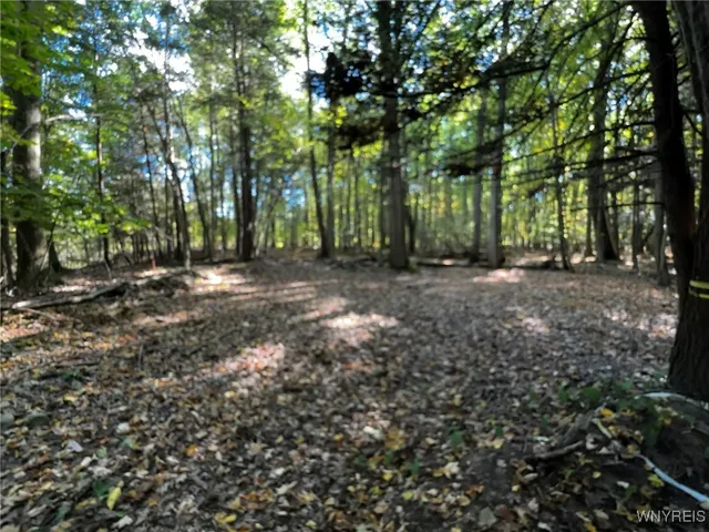 $39,900 | 10051 Highway 62, Persia, NY 14070