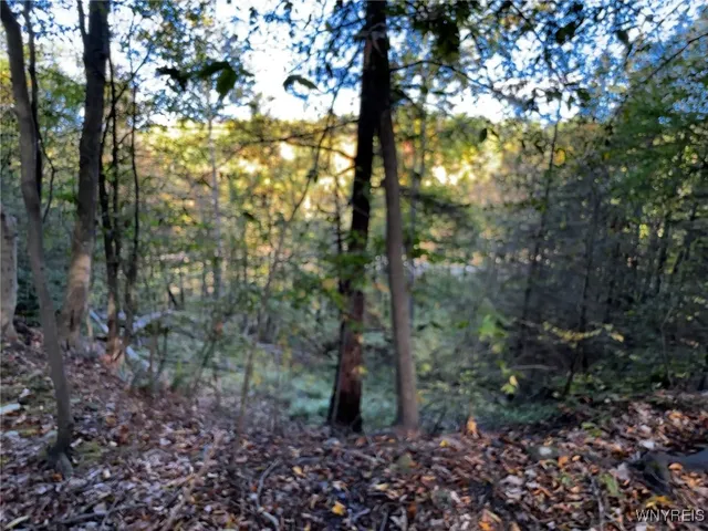 $39,900 | 10051 Highway 62, Persia, NY 14070