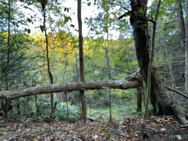 $39,900 | 10051 Highway 62, Persia, NY 14070