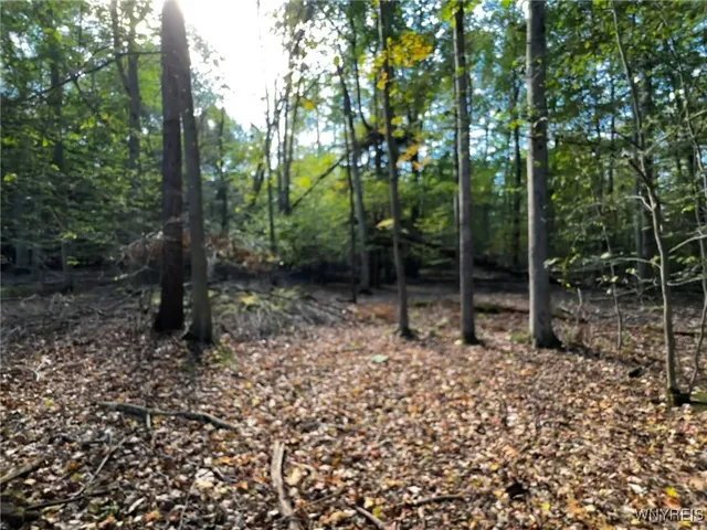 $39,900 | 10051 Highway 62, Persia, NY 14070