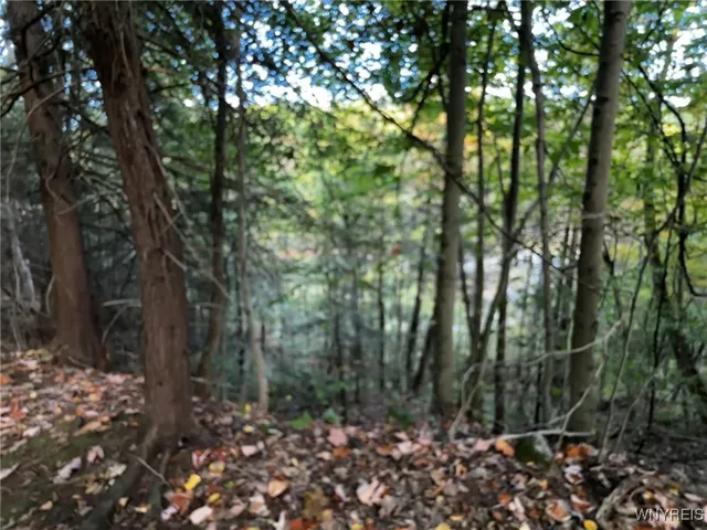 $39,900 | 10051 Highway 62, Persia, NY 14070