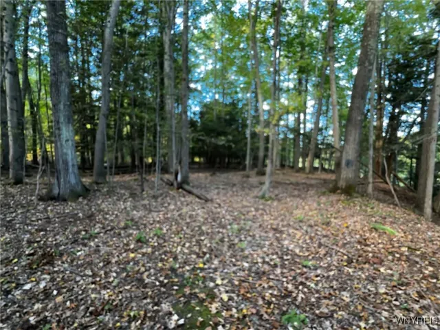 $39,900 | 10051 Highway 62, Persia, NY 14070