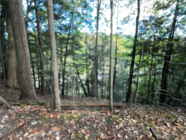 $39,900 | 10051 Highway 62, Persia, NY 14070