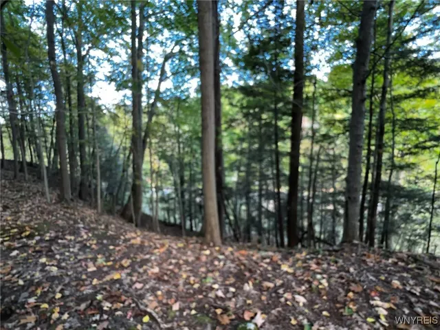 $39,900 | 10051 Highway 62, Persia, NY 14070