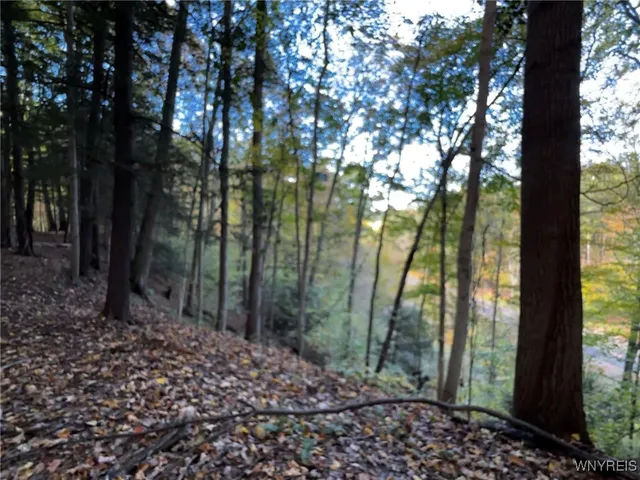 $39,900 | 10051 Highway 62, Persia, NY 14070