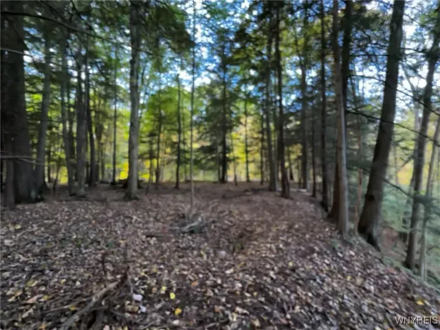 $39,900 | 10051 Highway 62, Persia, NY 14070