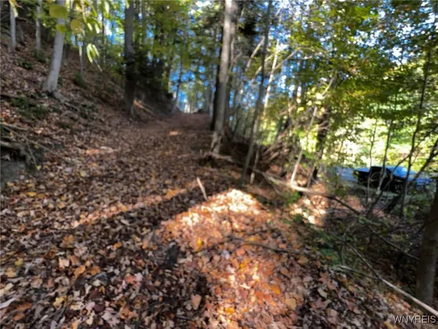 $39,900 | 10051 Highway 62, Persia, NY 14070